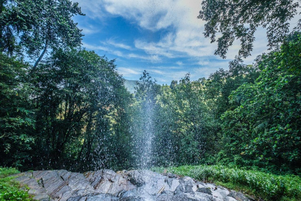 ปาล์มสโตน รีทรีต Hotel คิตุลกาลา ภายนอก รูปภาพ